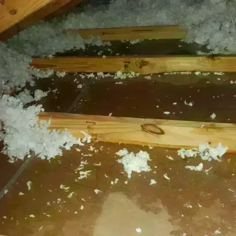 Attic Water Damage in Brentwood, NH